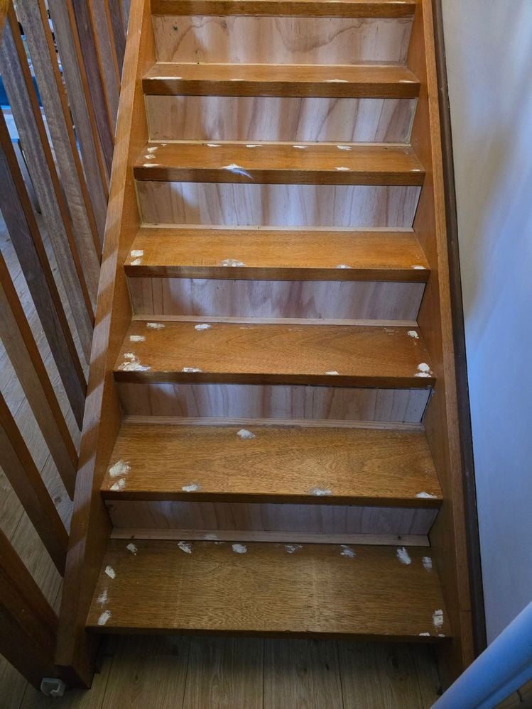 20250409_170822.jpg 20250409_170822.jpg