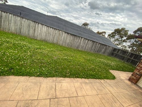 4973E999-026F-442B-98AC-6EEBB757629B.jpeg 4973E999-026F-442B-98AC-6EEBB757629B.jpeg