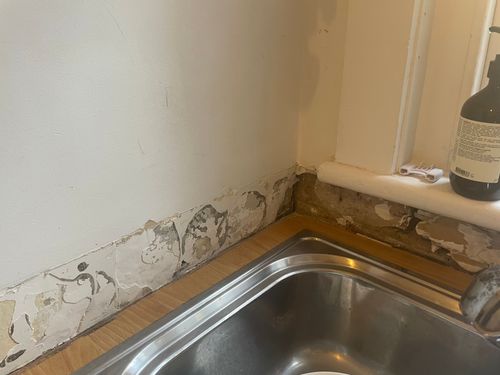 3B97961C-5908-45C4-AEC0-383474840ADB.jpeg 3B97961C-5908-45C4-AEC0-383474840ADB.jpeg