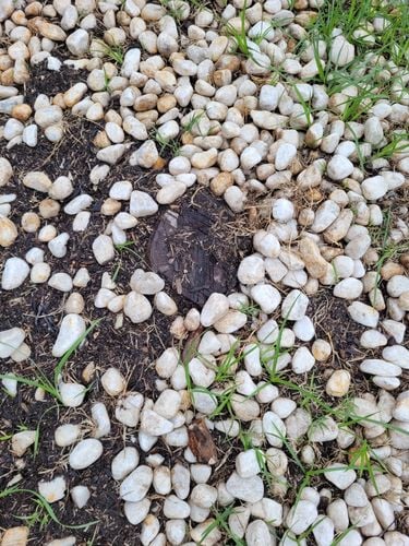 20241201_100427.jpg 20241201_100427.jpg