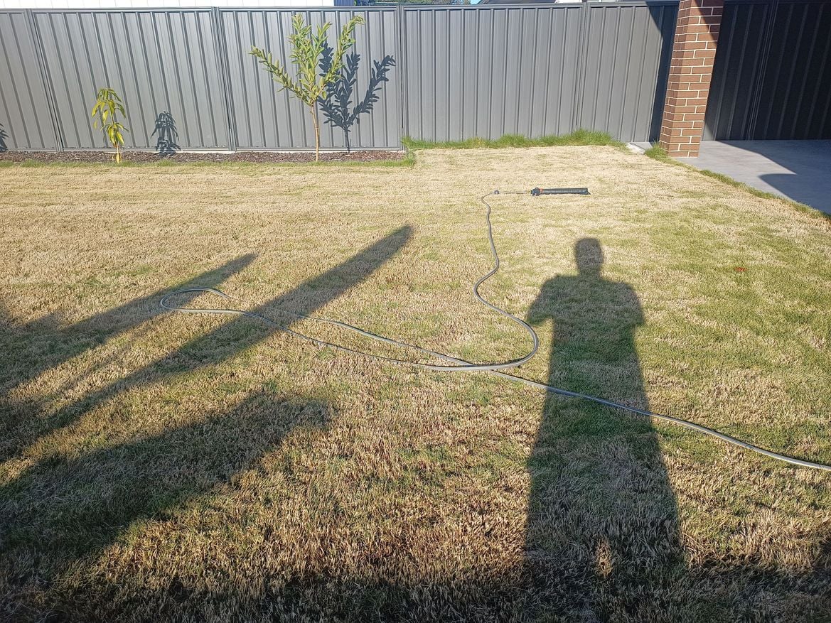 Backyard2.jpg Backyard2.jpg