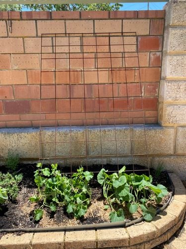 IMG_9659.jpeg IMG_9659.jpeg