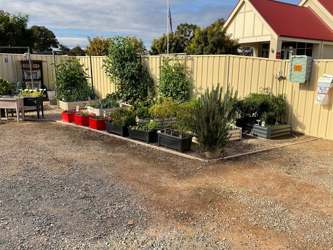 IMG_0789.jpeg IMG_0789.jpeg