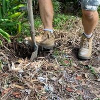 4 Excavate as needed.jpg 4 Excavate as needed.jpg