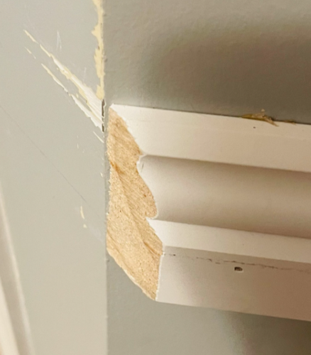 Sugar_3-1725973953293.png Sugar_3-1725973953293.png