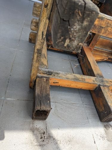 1000004553.jpg 1000004553.jpg