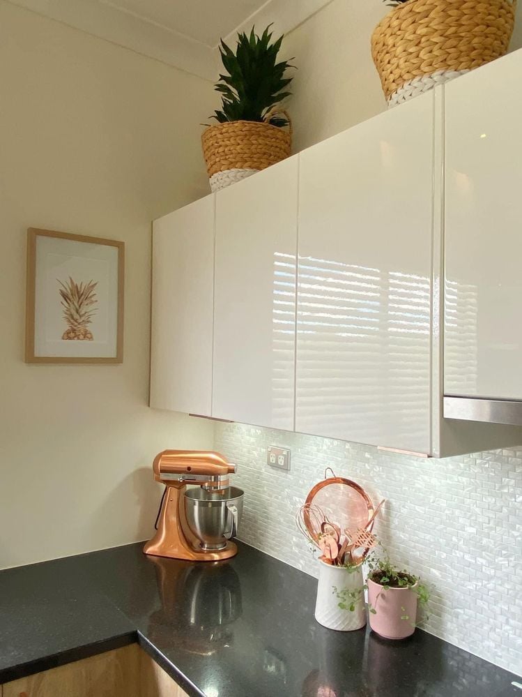 40864F3F-07F1-4423-9E91-DE76697687E9.jpeg 40864F3F-07F1-4423-9E91-DE76697687E9.jpeg