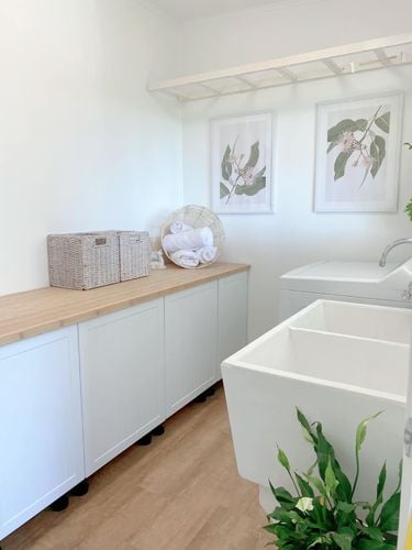 IMG_3934.jpeg IMG_3934.jpeg