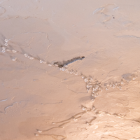 1.1 Water dripping from leaking ceiling.png 1.1 Water dripping from leaking ceiling.png