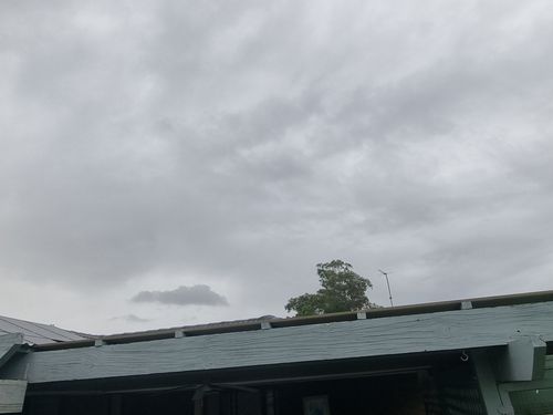 1000042144.jpg 1000042144.jpg