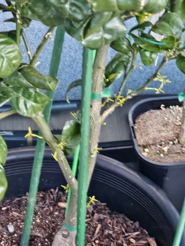 1000097882.jpg 1000097882.jpg