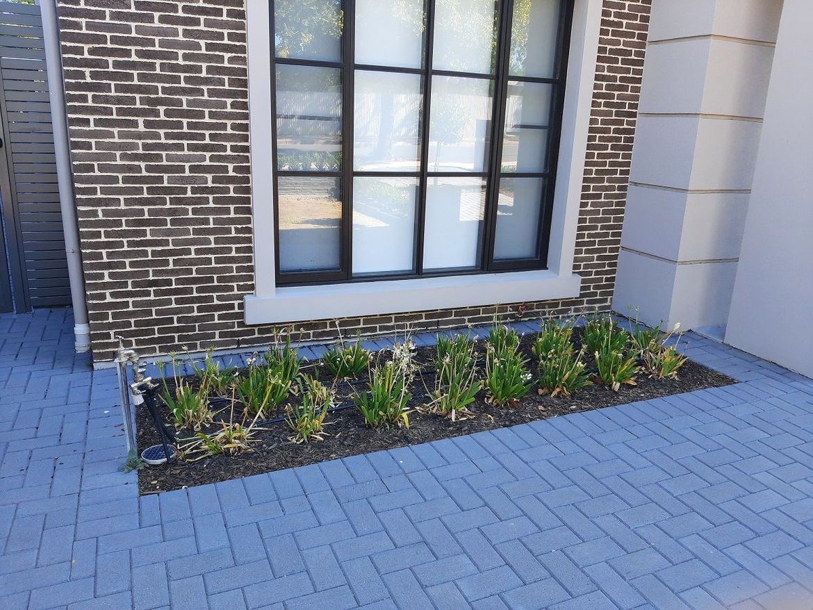 20220130_163240.jpg 20220130_163240.jpg