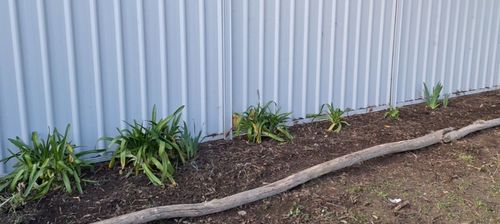 1000039345.jpg 1000039345.jpg