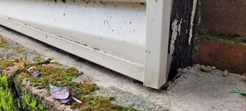 1000007346.jpg 1000007346.jpg