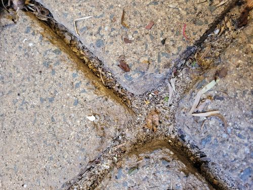 20211011_165554.jpg 20211011_165554.jpg