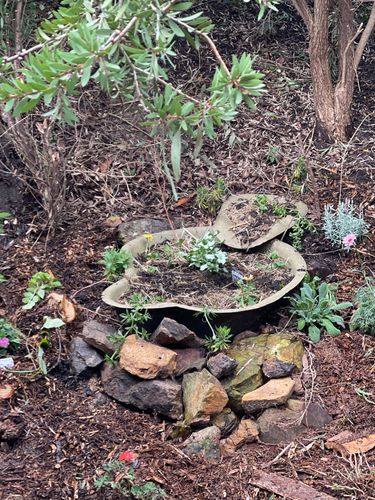 B1B7C04E-D342-4FB7-A24D-A1898AA6252C.jpeg B1B7C04E-D342-4FB7-A24D-A1898AA6252C.jpeg