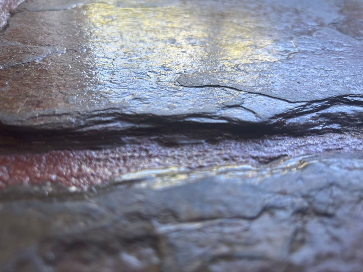 IMG_0654.jpeg IMG_0654.jpeg