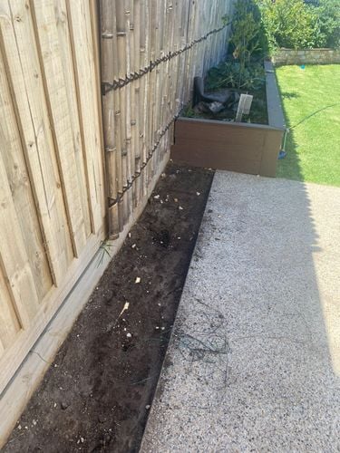 IMG_7141.jpeg IMG_7141.jpeg