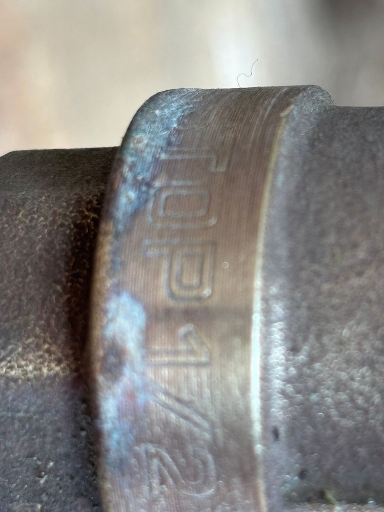 IMG_5895.jpg IMG_5895.jpg