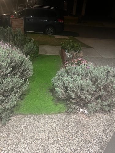 IMG_6750.jpeg IMG_6750.jpeg