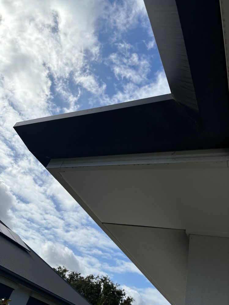 IMG_1899 (1).jpg IMG_1899 (1).jpg