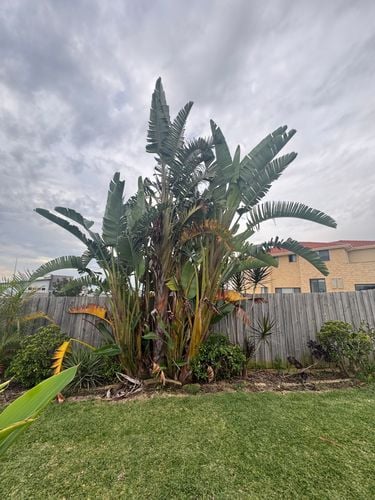 IMG_1412.jpeg IMG_1412.jpeg