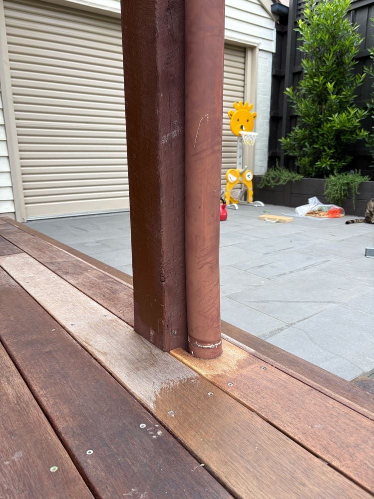 IMG_2985.jpg IMG_2985.jpg