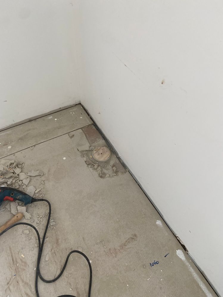 IMG_4691.jpeg IMG_4691.jpeg