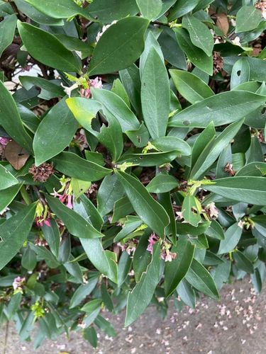 IMG114.jpeg IMG114.jpeg