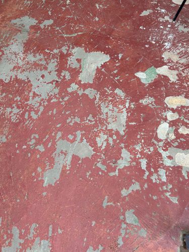 IMG_9299.jpeg IMG_9299.jpeg