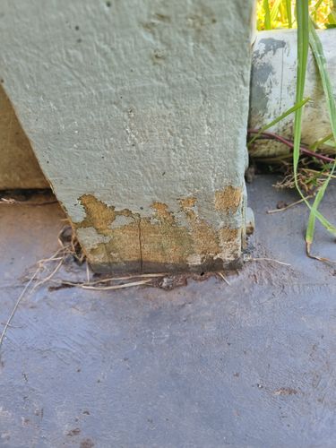 1000042383.jpg 1000042383.jpg