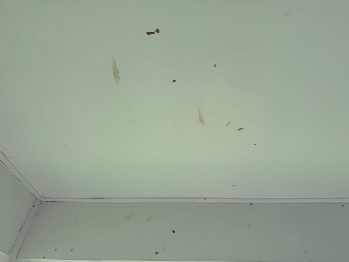 IMG_1343.jpeg IMG_1343.jpeg