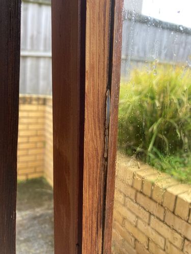 IMG_4935.jpeg IMG_4935.jpeg