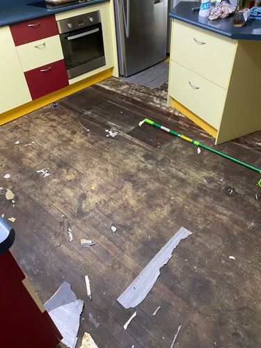 IMG_4998.jpeg IMG_4998.jpeg