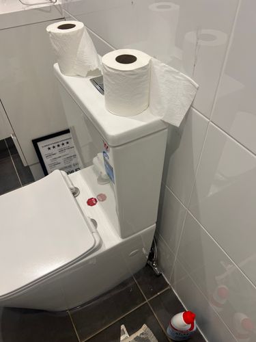 IMG_7372.jpeg IMG_7372.jpeg