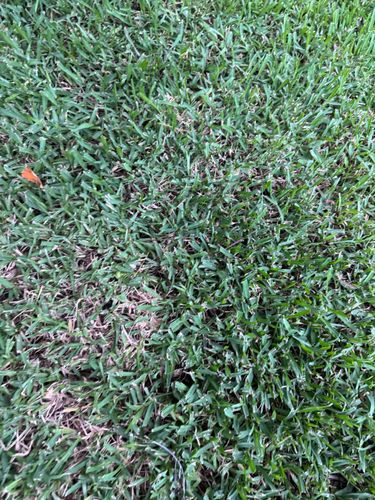 IMG_4347.jpeg IMG_4347.jpeg