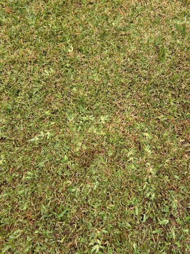 IMG_3340.jpeg IMG_3340.jpeg