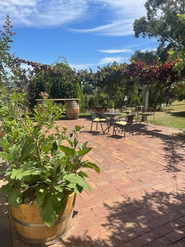 6542ED3D-5FF8-46B6-8925-BA6FD1BBD6B8.jpeg 6542ED3D-5FF8-46B6-8925-BA6FD1BBD6B8.jpeg