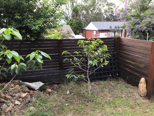 29 14-12-2024.jpg 29 14-12-2024.jpg