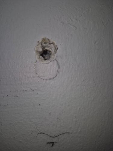 1000007475.jpg 1000007475.jpg