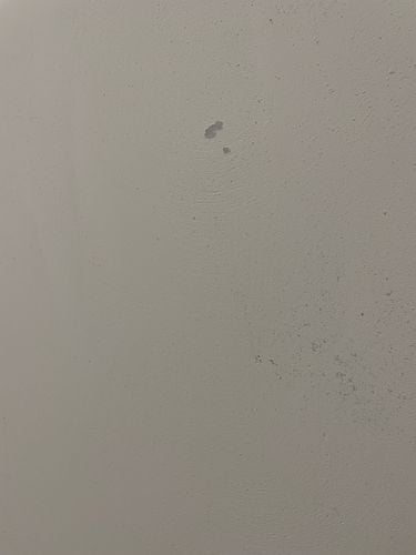 IMG_5267.jpeg IMG_5267.jpeg