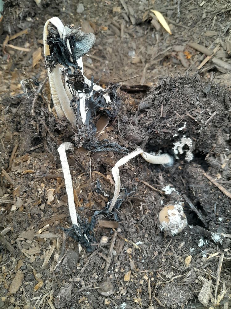 unnamed (1).jpg unnamed (1).jpg