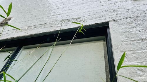 IMG_8128.jpeg IMG_8128.jpeg