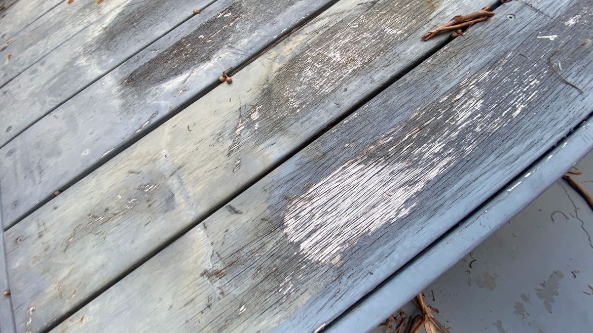 IMG_6501.jpg IMG_6501.jpg