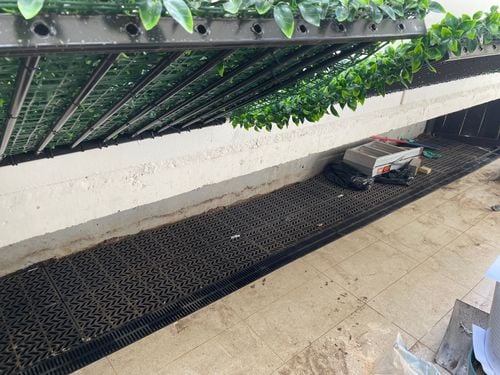 954E9B1F-3D9A-42E8-A619-73E87DFB1325.jpeg 954E9B1F-3D9A-42E8-A619-73E87DFB1325.jpeg