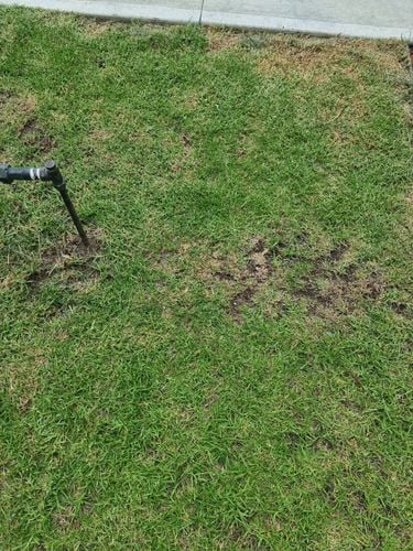 20230129_152156.jpg 20230129_152156.jpg