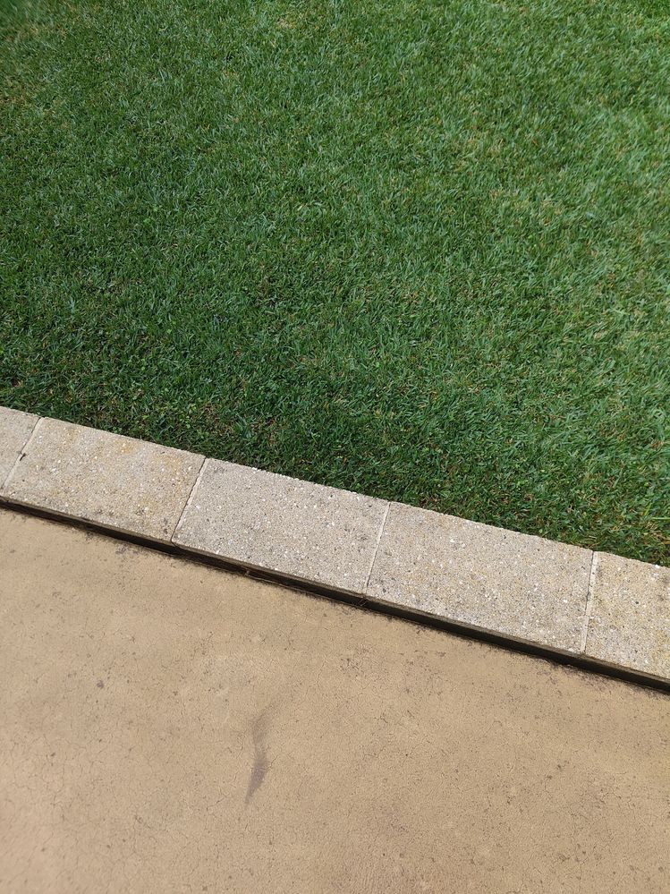 1747009230759.jpg 1747009230759.jpg