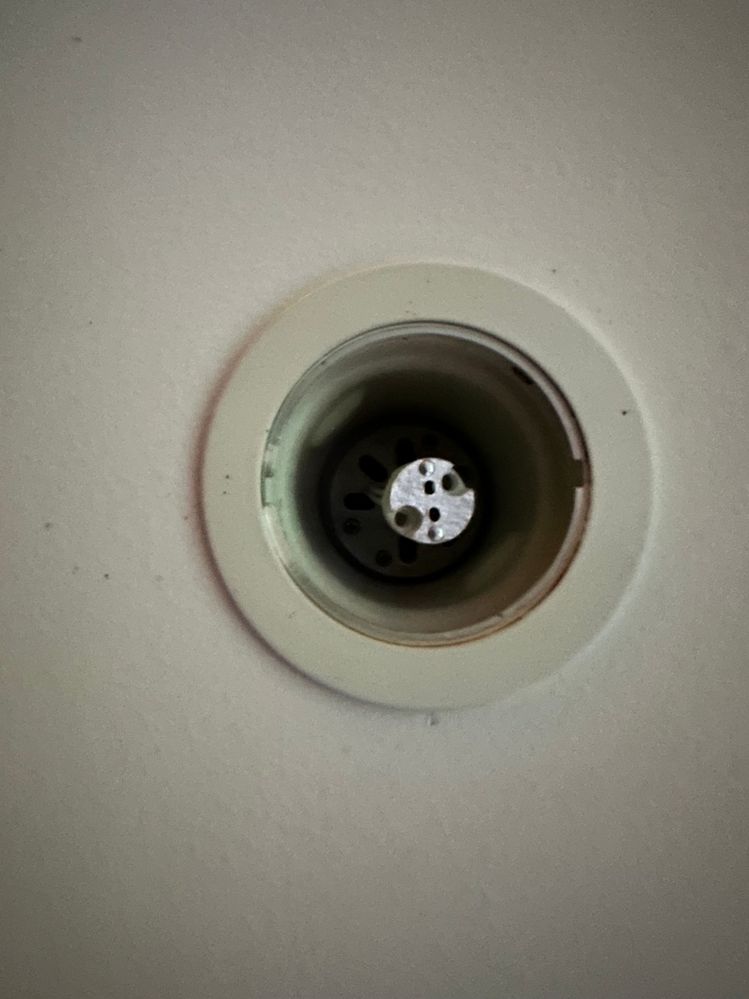 IMG_4931.jpeg IMG_4931.jpeg