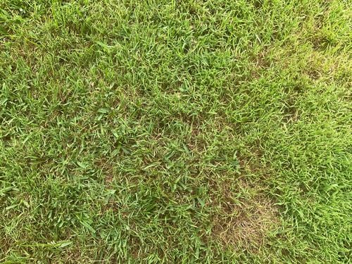 IMG_1020.jpeg IMG_1020.jpeg