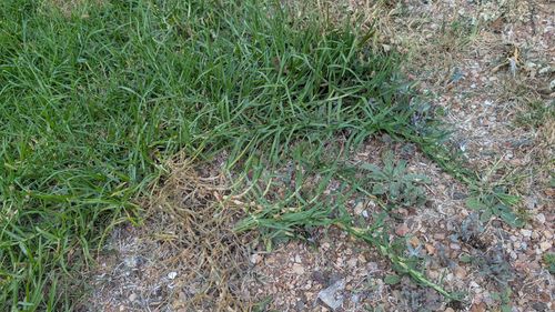 1000038314.jpg 1000038314.jpg